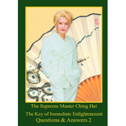 13 The Key of Immediate Enlightenment Questions & Answers 2